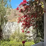 Campos Yalos * Ios