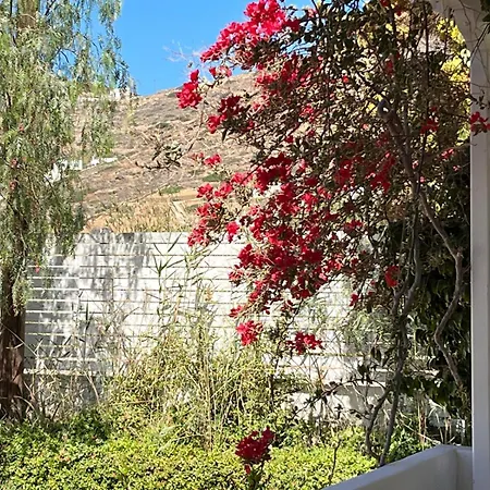 Campos Yalos * 이오스 코라