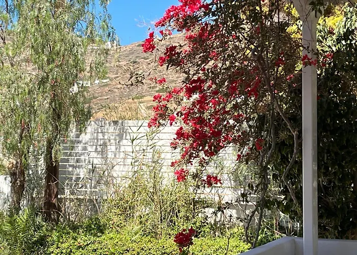 Campos Yalos * Chora (Ios)